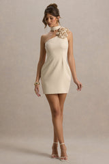 uploaded_image_1_crpr3